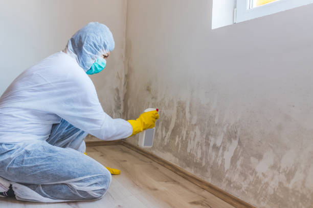 Licensed Commercial Mold Remediation service in Westwood, MI - 24 Hour Mold Removal
