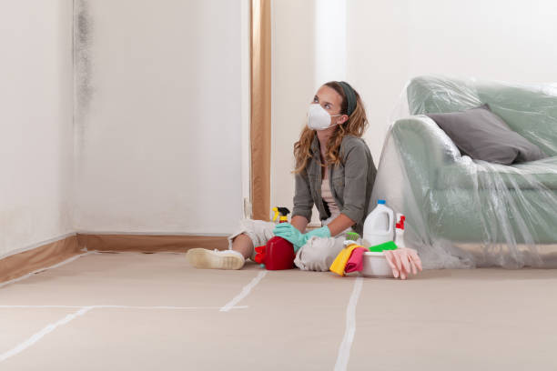 Reliable Commercial Mold Remediation contractor in Westwood, MI by 24 Hour Mold Removal